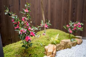 RESI STAY Villa Silktree