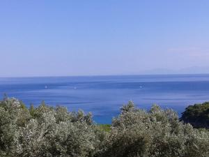 Elia house 2 astoning view among the olive trees Alonissos Greece