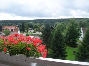 Ferienhaus Hubertus in Elend mit Balkons