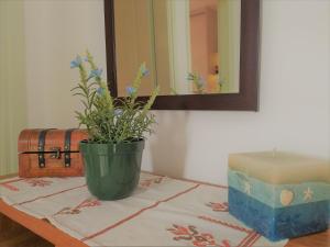 Oniropagida Family Apartment Andros Greece