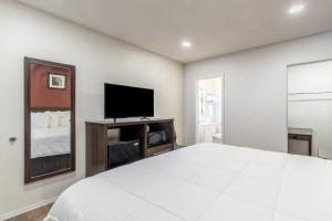 Standard King Room - Non Smoking room in Econo Lodge