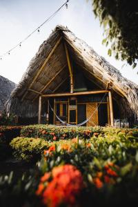 Tiki Hut Hostel