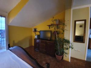 Aerport - Natura Apartment