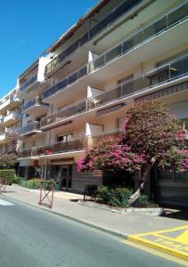 Appartements Beau studio avec balcon : photos des chambres