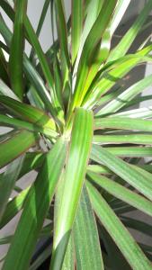 Tocando el Cielo, apartamento con parking incluido