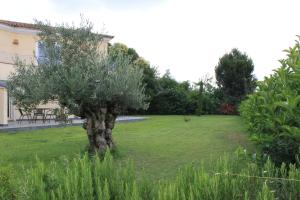 Maisons d'hotes E Cabanacce : photos des chambres