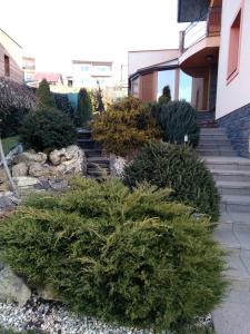 Brezno 2 izbovy Apartman Sabi