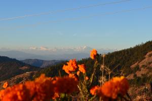 MUSKOTIA Independent Cottages