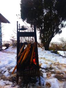 MUSKOTIA Independent Cottages