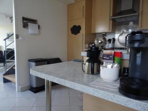 Maisons d'hotes Duplex residence d'orleans : photos des chambres