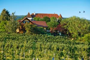 Penzion Landhaus GRETE Stubenberg Rakousko