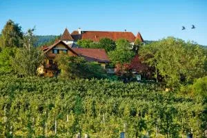 Landhaus GRETE - Puch bei Weiz