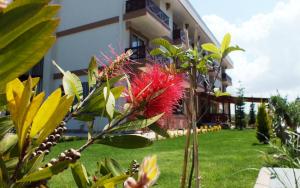 Helen Troya Hotel Geyikli