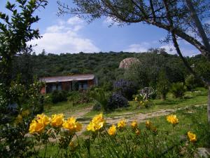B&B Casa per ferie VillaggioCarovana img2
