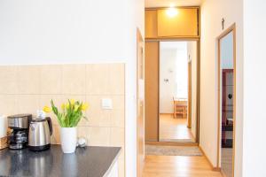 ALDOM apartamenty Apartament Oliwia