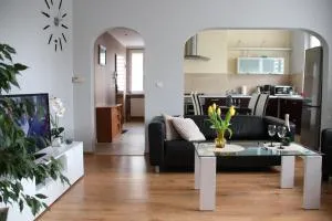 Apartament Ania - 耶莱尼亚古拉