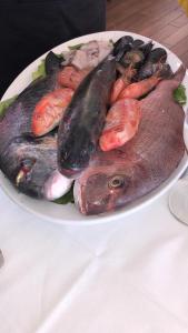 Apartments Vladilena