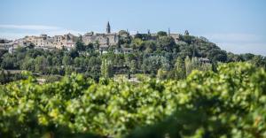 B&B / Chambres d'hotes La Bastide des Pins : photos des chambres