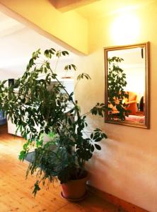 Ferienwohnung Haus Edith in Laufenburg