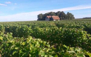 B&B / Chambres d'hotes La Ferme de Couffy : photos des chambres