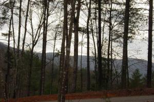 Cherokee Dream Mountain Lodge - 4hvězdičkové hotely ve městě Epworth