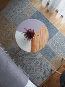 Svečių namai Žara