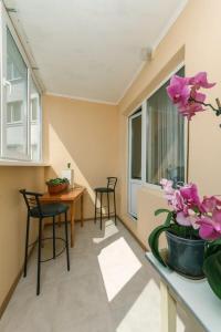 Двухкомнатная квартира с видом на Днепр