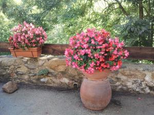 Maisons de vacances Mas Taillet Le Camelia : photos des chambres