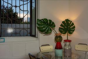 Secret garden in the heart of Isola