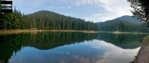 Gostyniy Dvir Synevir