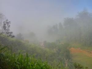 Isuru Homestay