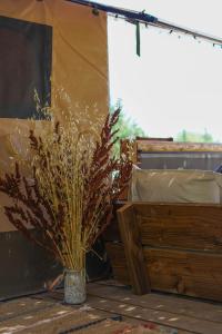 Lodges Cabane Ayana : Bungalow Familial