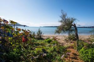 Sandy Feet - Beachfront Loft Studio Messinia Greece