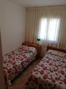 Delfines Solo Familias Serviplaya