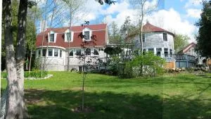 Windswept on the Trent - Marmora