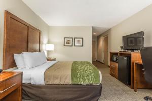 Quality Inn Summerville-Charleston