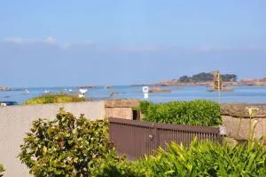 Appartement BELLE VUE MER avec WIFI et cour close TREGASTEL - Ref 42 - 提赫嘎它尔