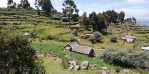 Taquile Hospedaje Mario