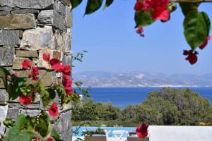 Blue Amaryllis Villas Paros Greece