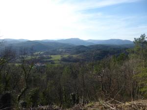 Le Casquille photo 21