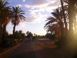 Mhamid Auberge Saharaespace