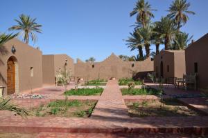 Mhamid Auberge Saharaespace