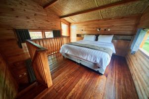 Phòng Superior đôi hoặc 2 giường đơn nhìn ra hồ bơi (Superior Double or Twin Room with Pool View)