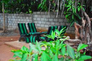 Kuma Safari Lodge