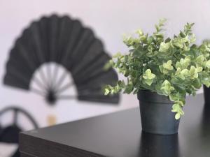 Quiet Studio, Incredible views, Climatized pool, FREE WIFI