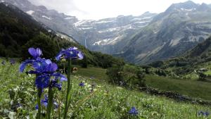 Appartements T2 cabine de Lassariou : photos des chambres
