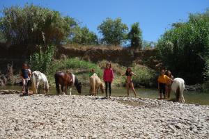 Chalets 16 chemin des ratequats : photos des chambres