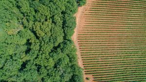 La Cerreta - Terme di Sassetta