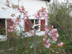 Maisons de vacances Gite l Ideal : photos des chambres