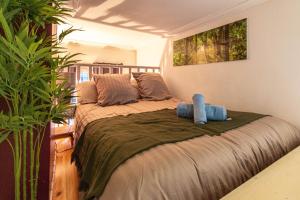 Appartements Cosy'Appart - LE FONTENELLE : photos des chambres